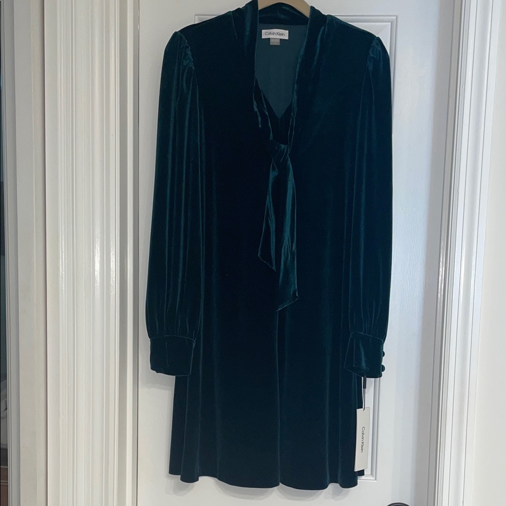 Calvin Klein Emerald Green Velvet Long Sleeve Dress